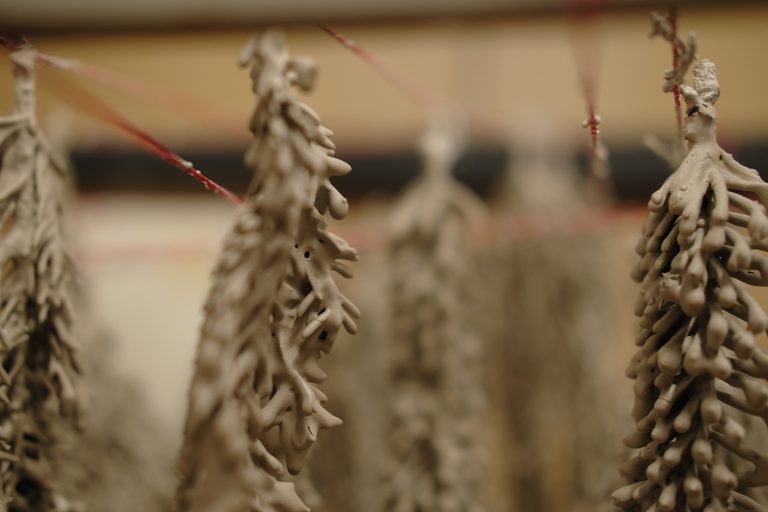 Field Notes 5. – RHIZOM